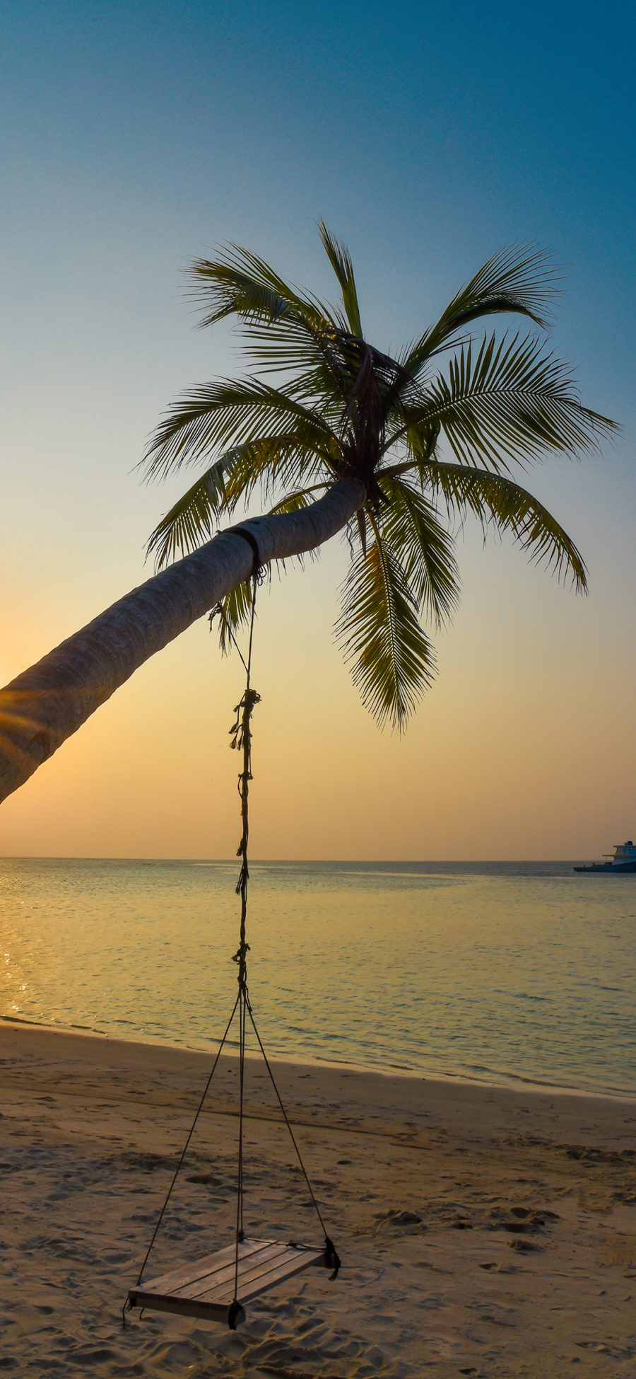 [2436×1125]椰树 日落 秋千 大海 海边 苹果手机壁纸图片