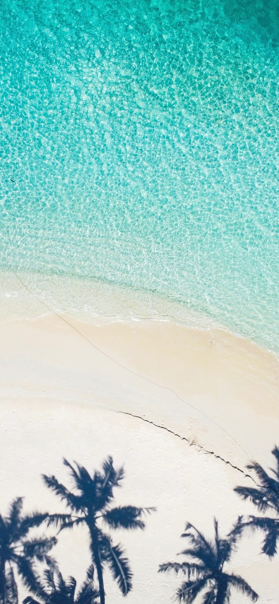 [2436×1125]沙滩 海岸 椰树 光影 海水 苹果手机壁纸图片