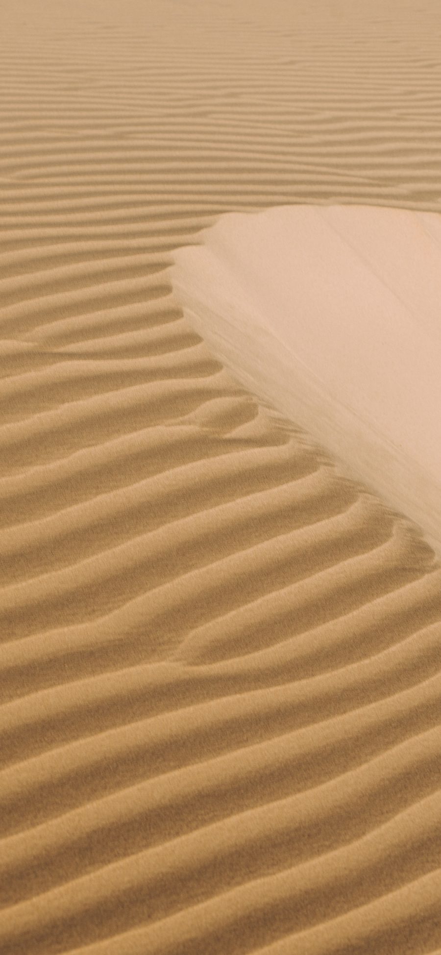 [2436×1125]沙漠 塌陷 纹理 地貌 苹果手机壁纸图片
