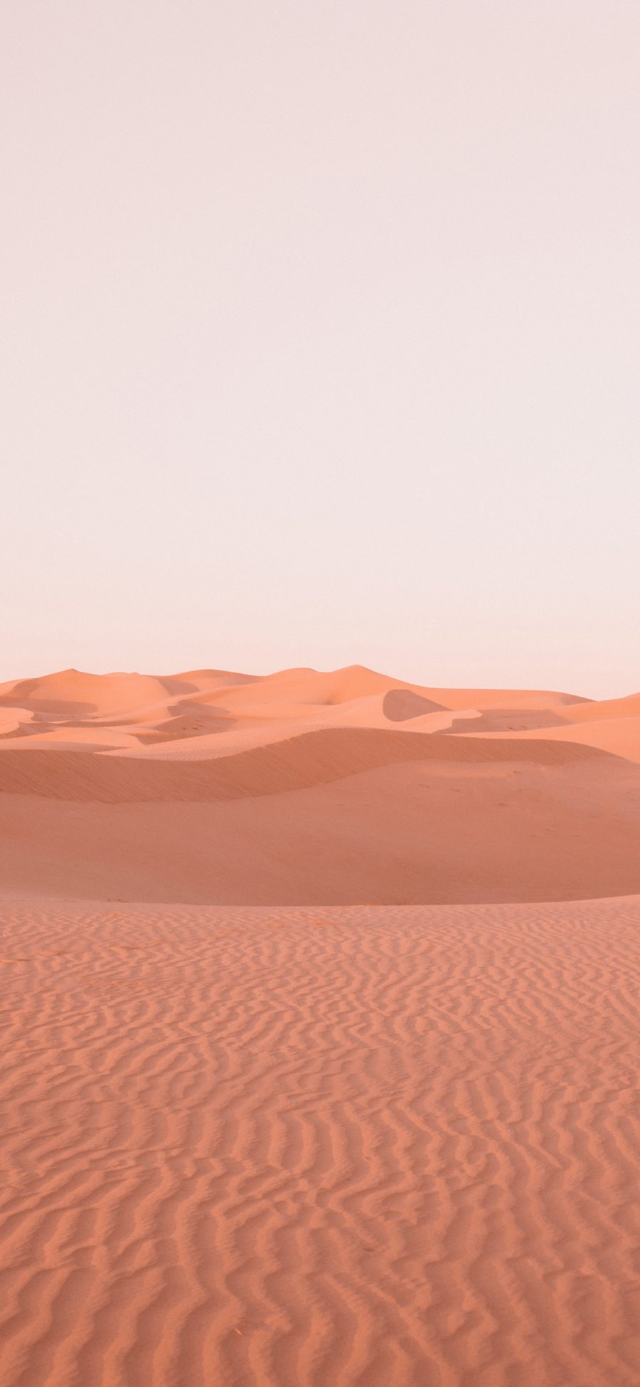 [2436×1125]沙漠 大自然 热带 纹路 苹果手机壁纸图片