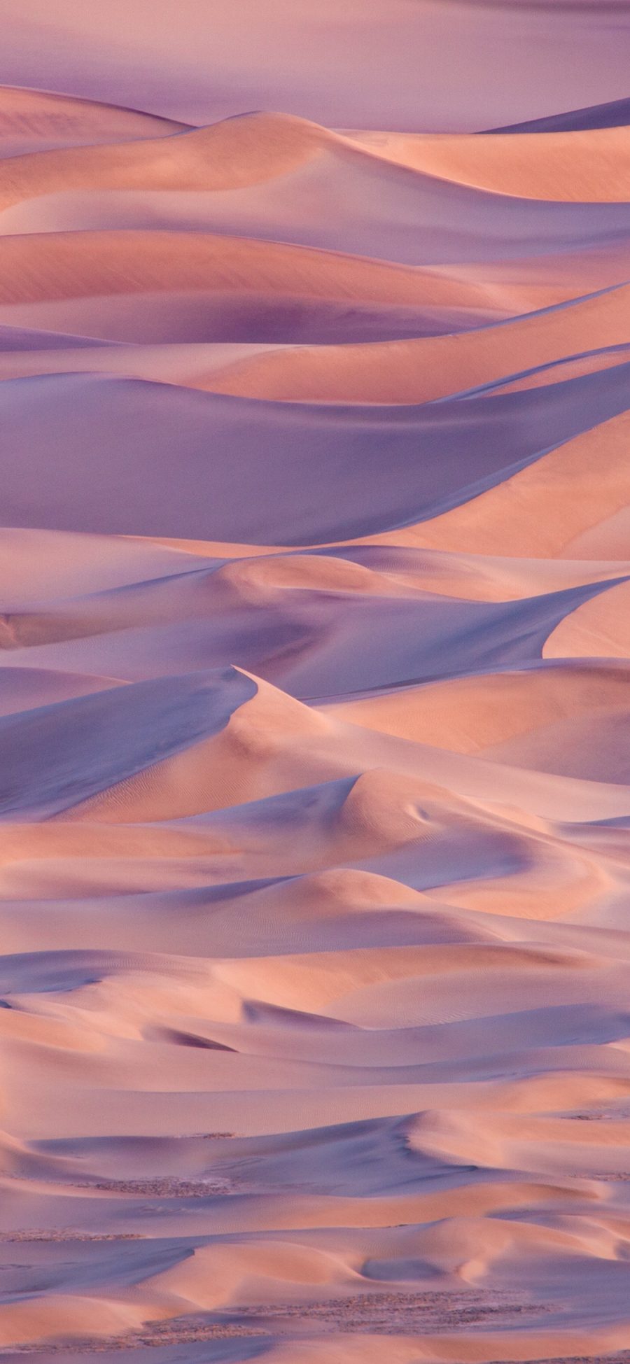 [2436×1125]沙漠 大自然 荒漠 曲线 光影 苹果手机壁纸图片