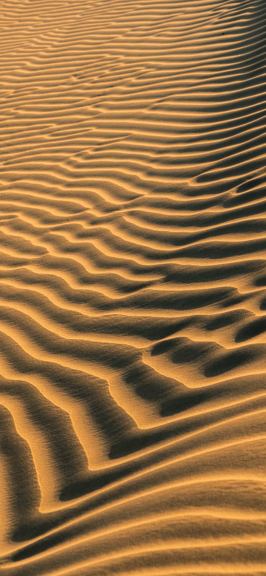 [2436×1125]沙漠 流沙 光影 苹果手机壁纸图片