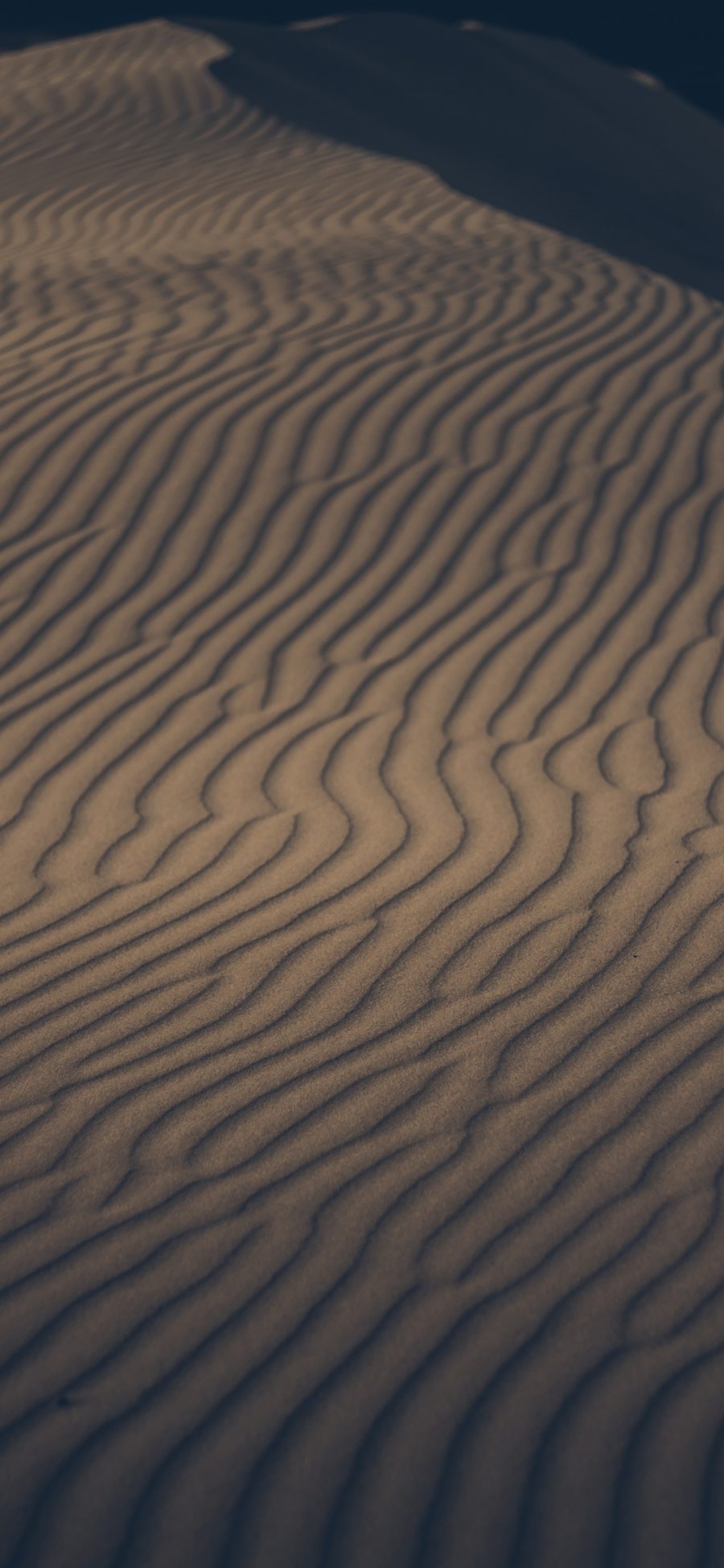 [2436×1125]沙漠 线条 大自然 苹果手机壁纸图片