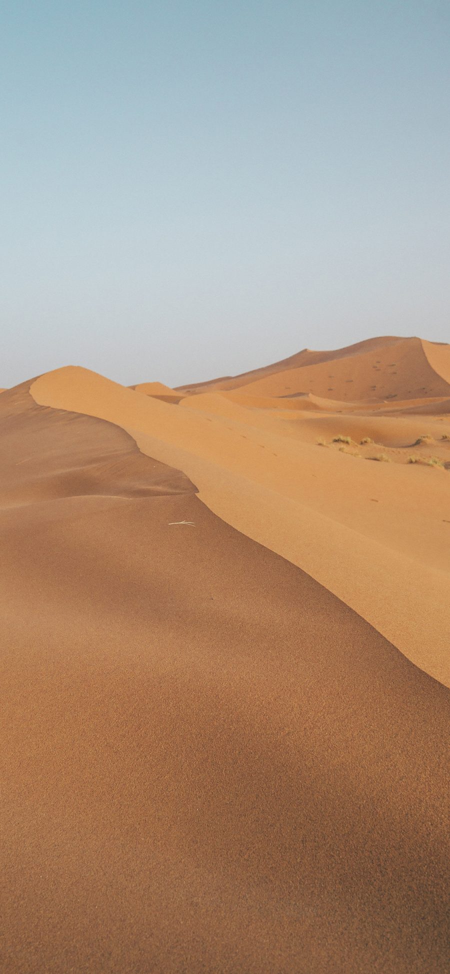 [2436×1125]沙漠 荒漠 野外 沙地 苹果手机壁纸图片