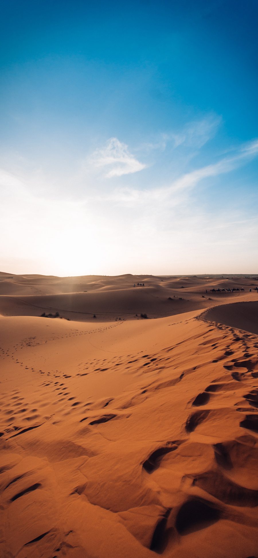 [2436×1125]沙漠 荒漠化 天空 唯美 苹果手机壁纸图片