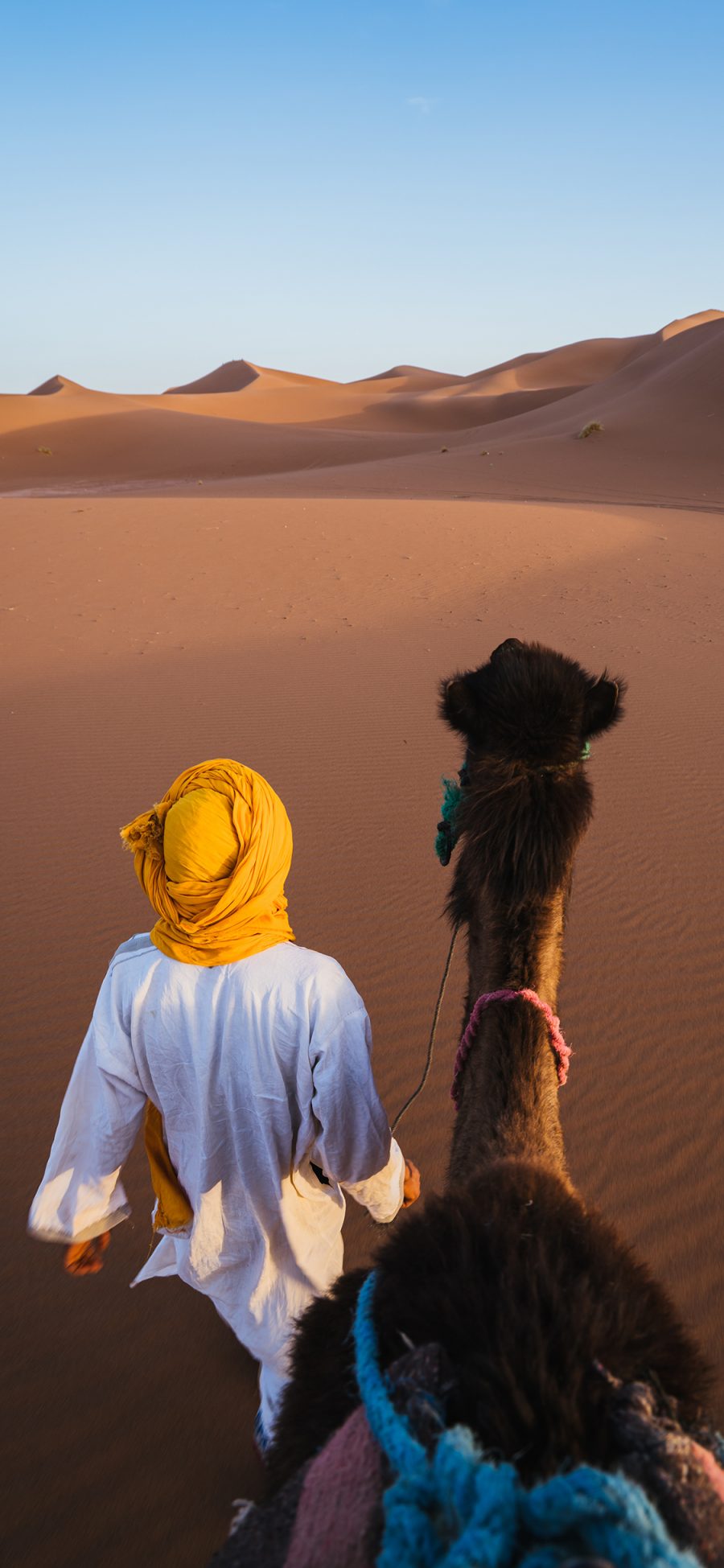 [2436×1125]沙漠 阿拉伯 背影 异域 骆驼 苹果手机壁纸图片