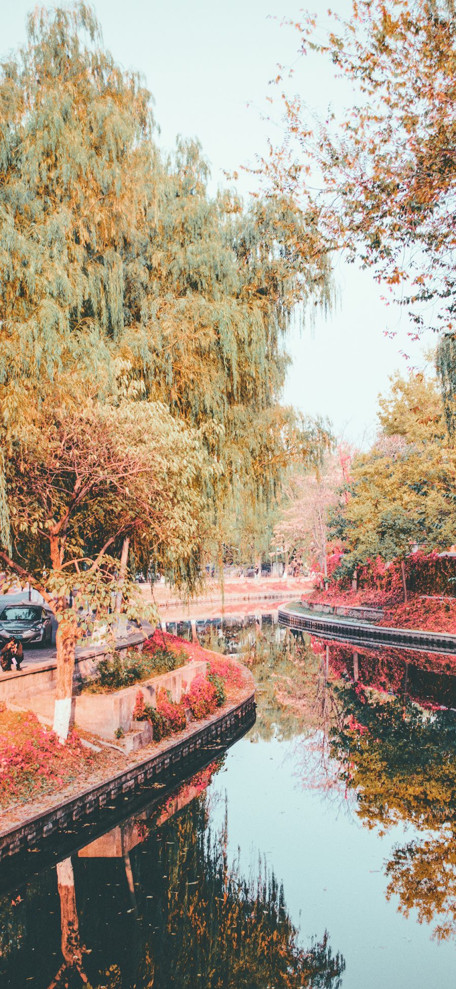 [2436×1125]河道 水面 树木 秋季 落叶 苹果手机壁纸图片