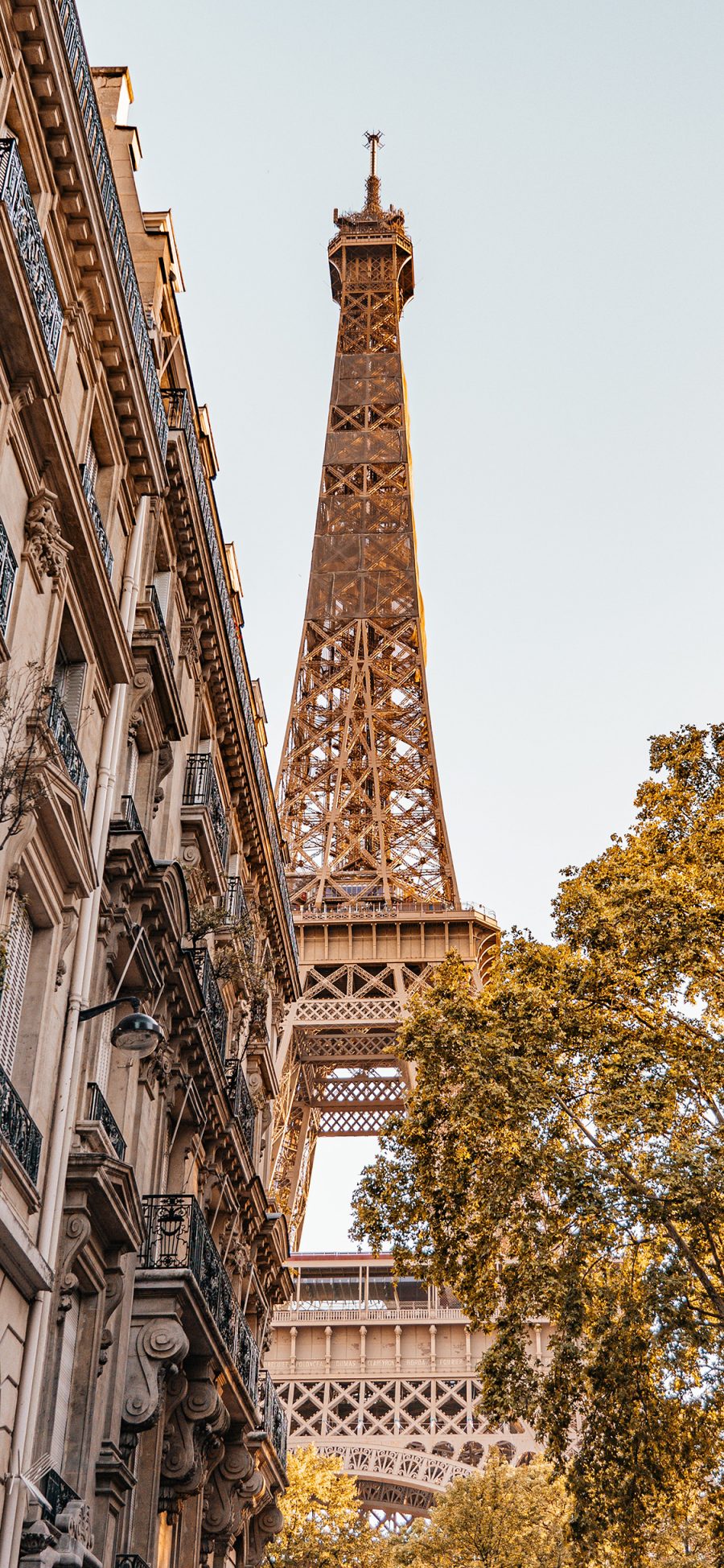 [2436×1125]法国 建筑 巴黎铁塔 景点 苹果手机壁纸图片