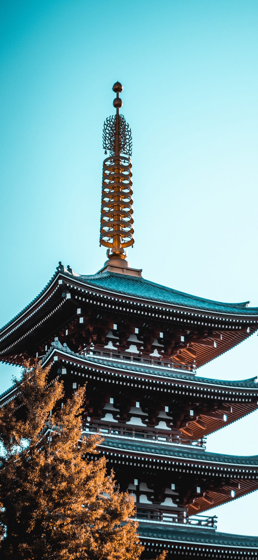 [2436×1125]浅草寺 建筑 地标 寺庙 苹果手机壁纸图片