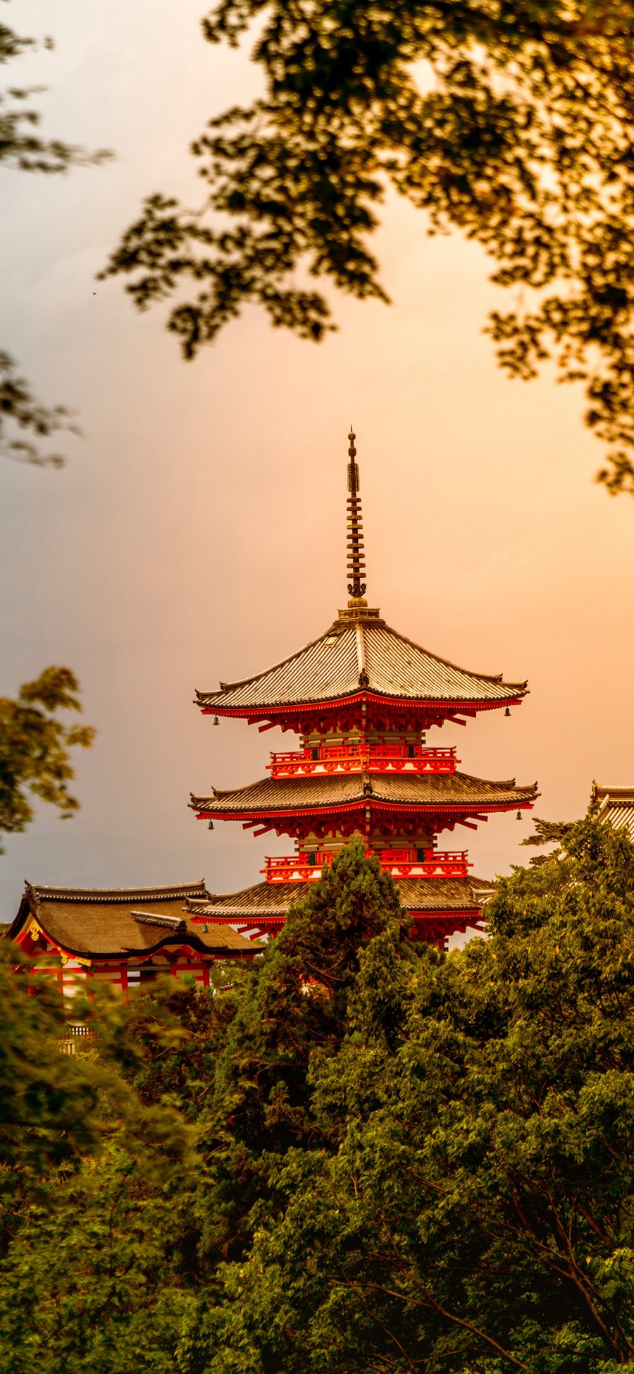 [2436×1125]浅草寺 日本 寺庙 景点 苹果手机壁纸图片