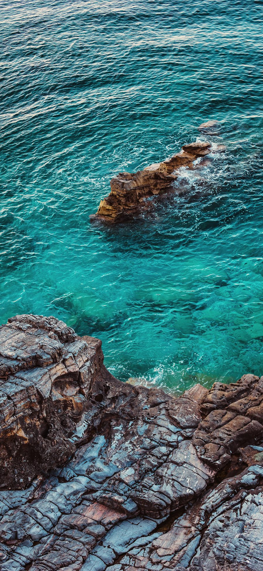 [2436×1125]海岸 海虾 海水 清澈 苹果手机壁纸图片