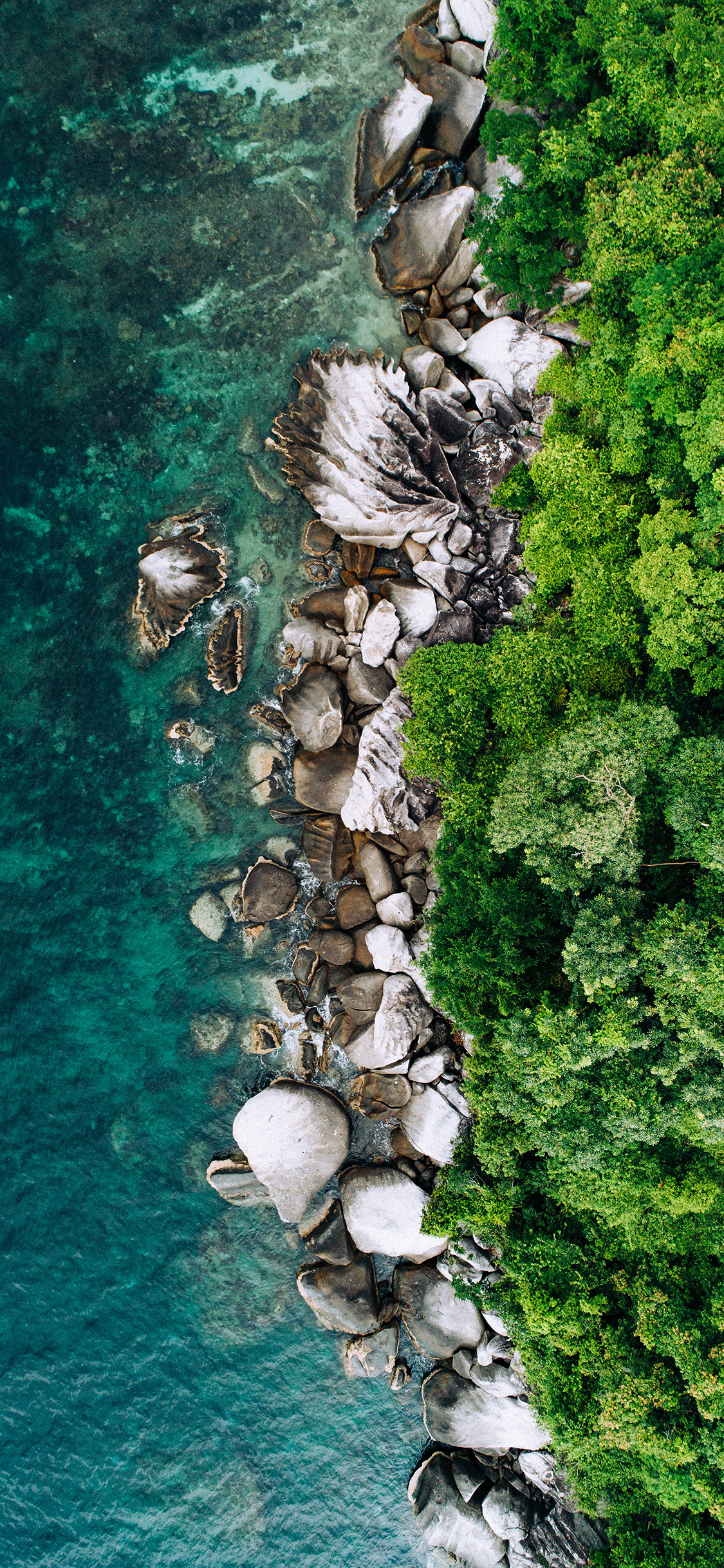 [2436×1125]海岸线 树林 礁石 俯拍 苹果手机壁纸图片