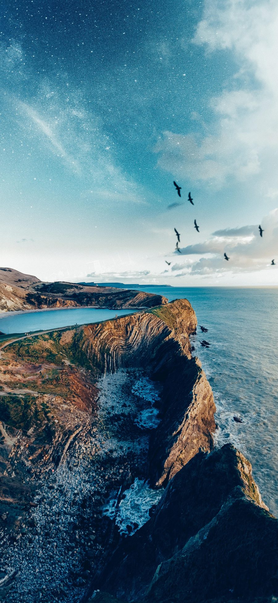 [2436×1125]海峡 海岸 大海 鸟 苹果手机壁纸图片