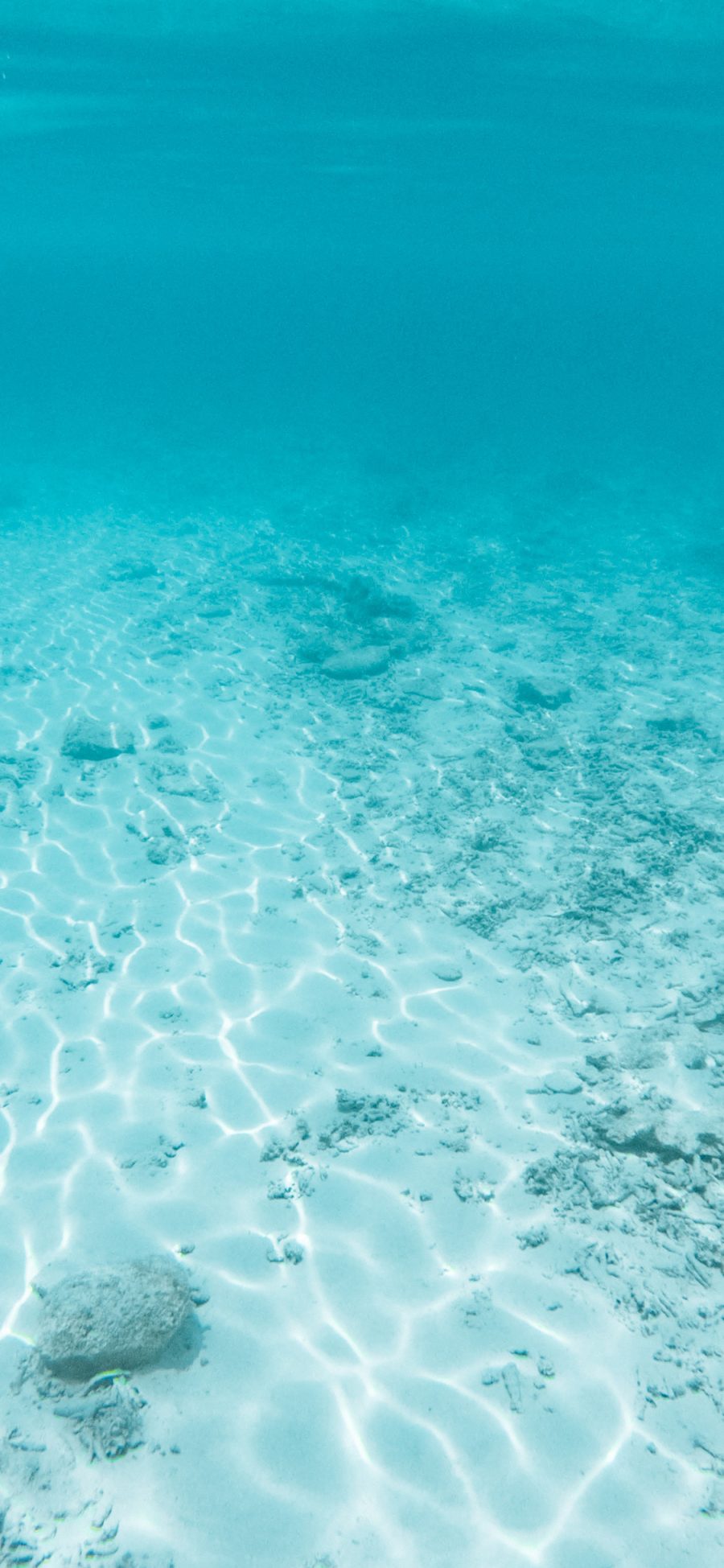 [2436×1125]海底 海水 清澈 波光粼粼 苹果手机壁纸图片