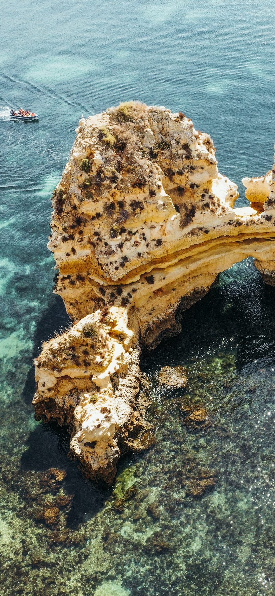 [2436×1125]海水 礁石 珊瑚礁 清澈 苹果手机壁纸图片