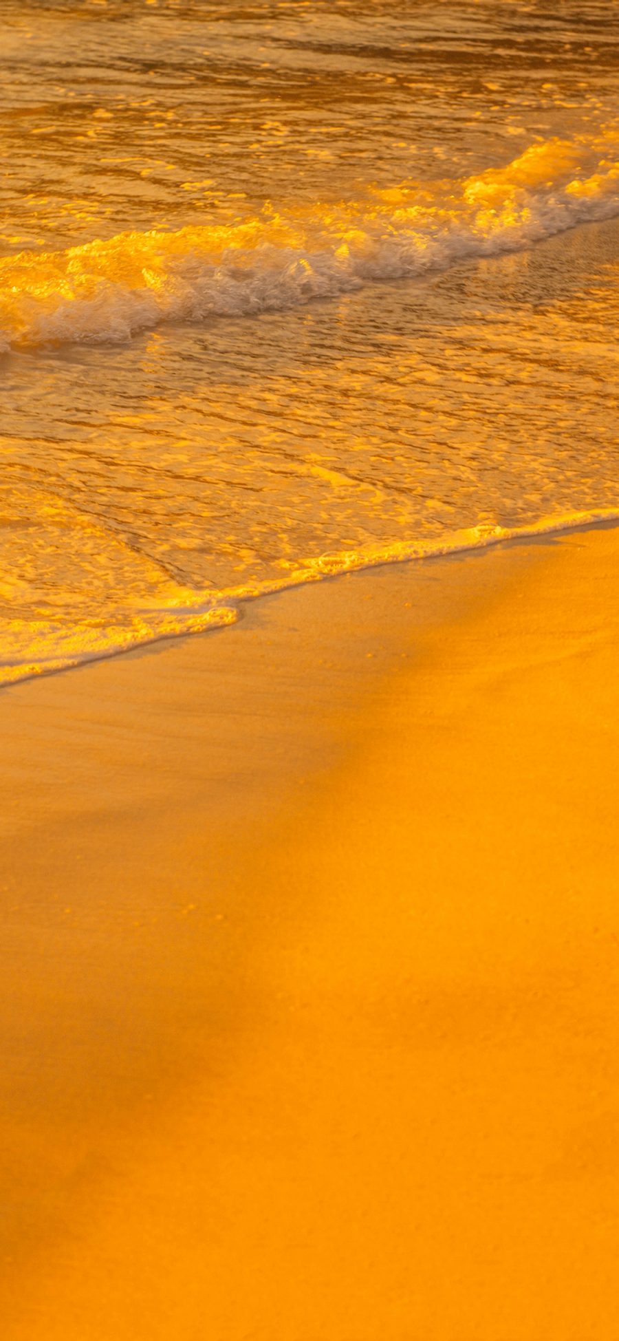 [2436×1125]海浪 海水 沙滩 黄色 苹果手机壁纸图片