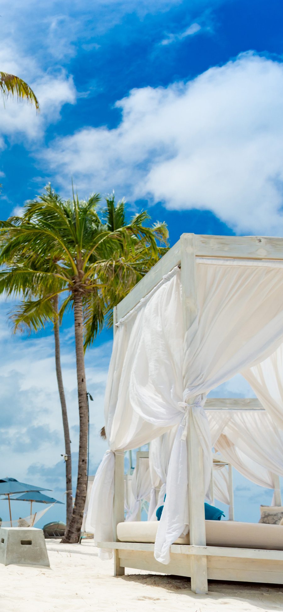 [2436×1125]海滩 椰树 蓝天白云 沙拉 度假 休闲 苹果手机壁纸图片