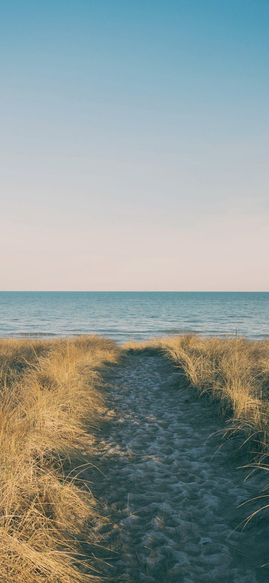[2436×1125]海滩 海岸 大海 杂草 路 苹果手机壁纸图片