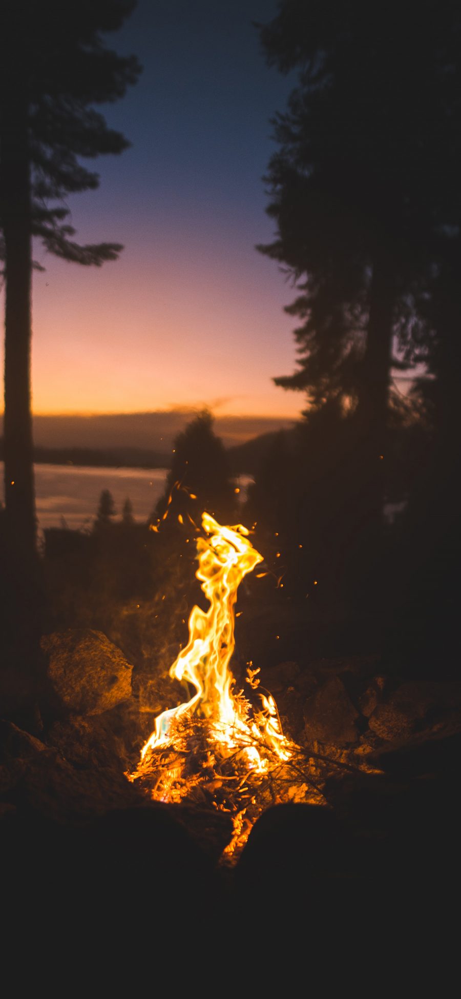 [2436×1125]火焰 燃烧 夜晚 木材 苹果手机壁纸图片
