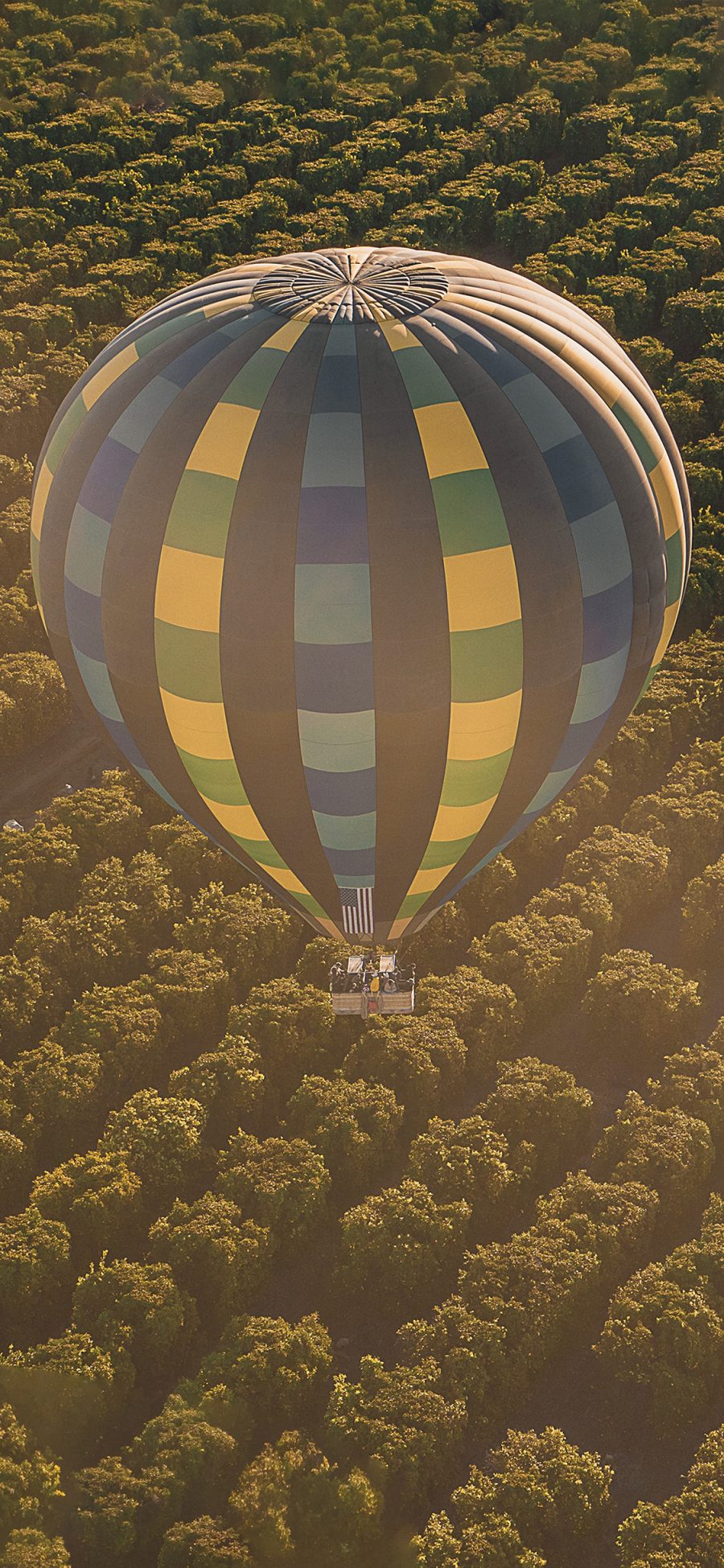 [2436×1125]热气球 天空 漂浮 俯拍 苹果手机壁纸图片