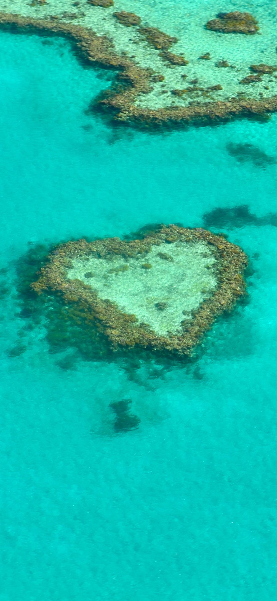 [2436×1125]珊瑚礁 爱心 大海 海洋 蓝色 苹果手机壁纸图片