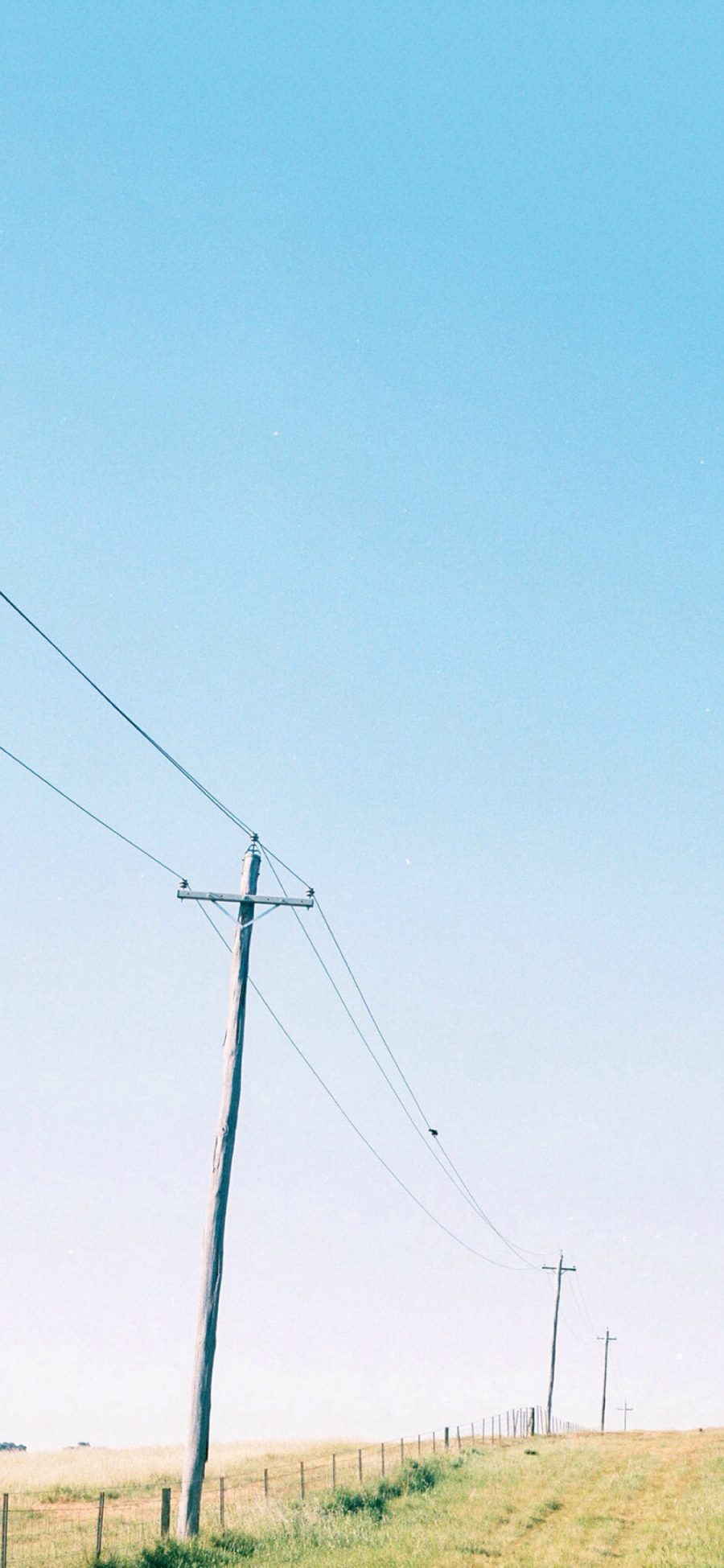 [2436×1125]电线杆 风景 田野 蓝天 苹果手机壁纸图片