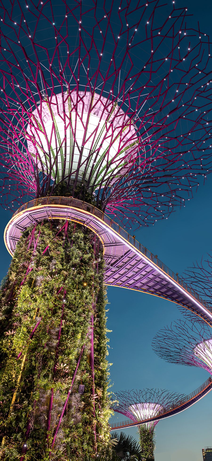 [2436×1125]空中栈道 景观 设计 建筑唯美 苹果手机壁纸图片