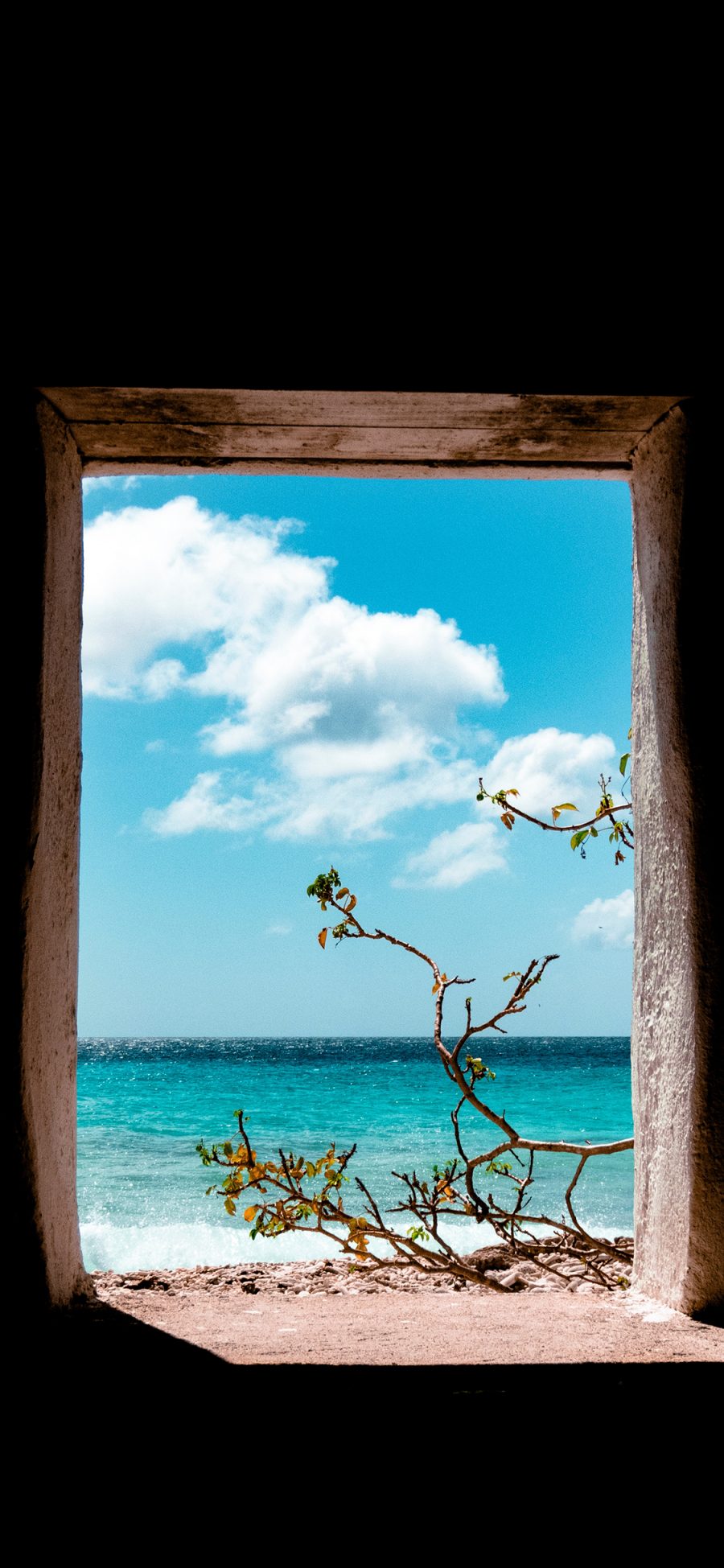 [2436×1125]窗户 海景 蓝天白云 树木 苹果手机壁纸图片