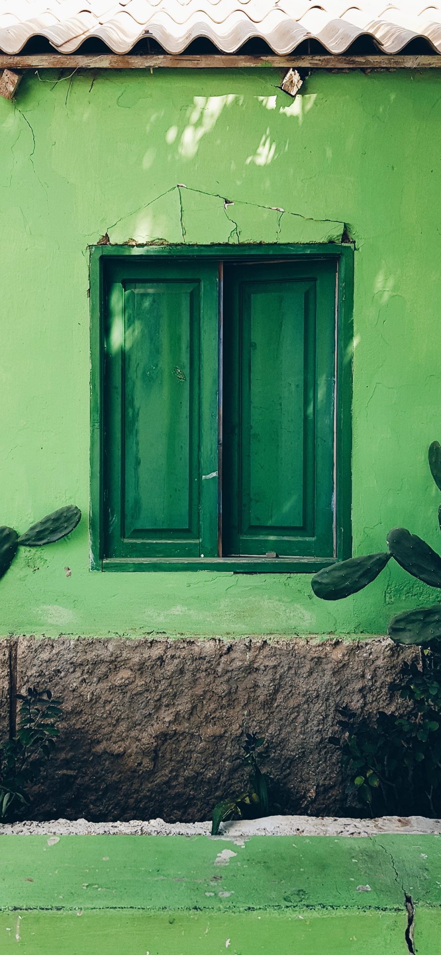 [2436×1125]绿景 绿色墙壁 窗户 仙人掌 苹果手机壁纸图片