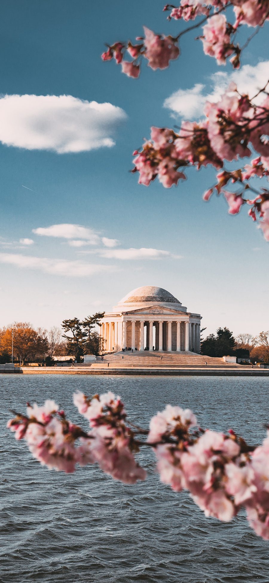 [2436×1125]美国 华盛顿 杰弗逊纪念堂 鲜花 苹果手机壁纸图片