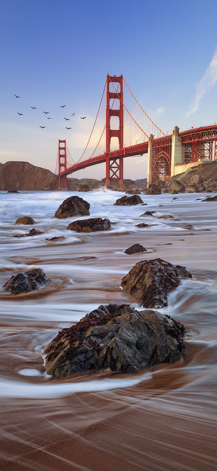 [2436×1125]美国 旧金山 地标 桥梁 客流 苹果手机壁纸图片