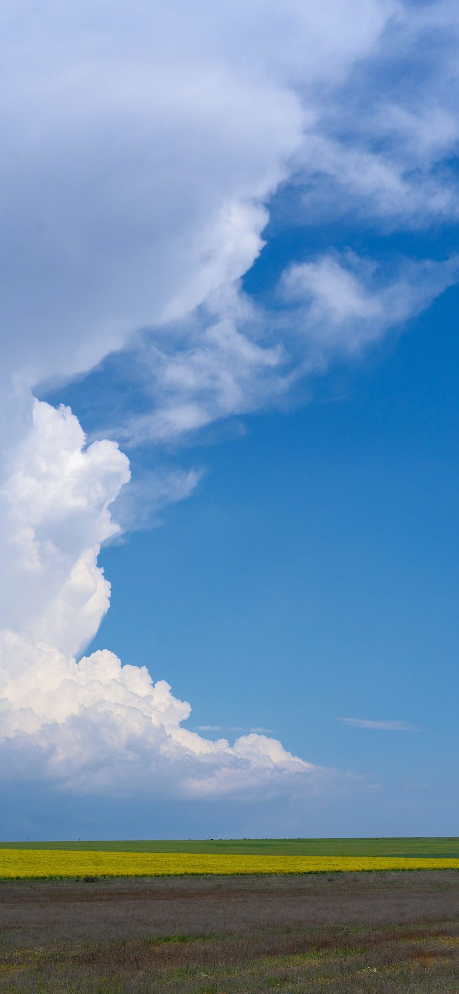 [2436×1125]自然 天空 云海 广阔 苹果手机壁纸图片