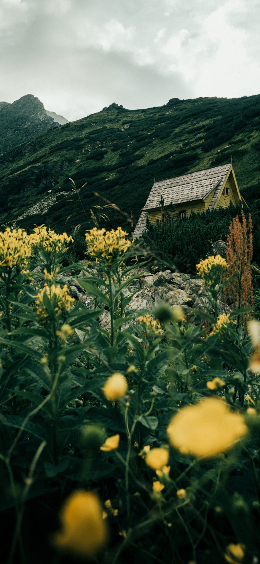 [2436×1125]自然 山峰 木屋 野花 美景 苹果手机壁纸图片