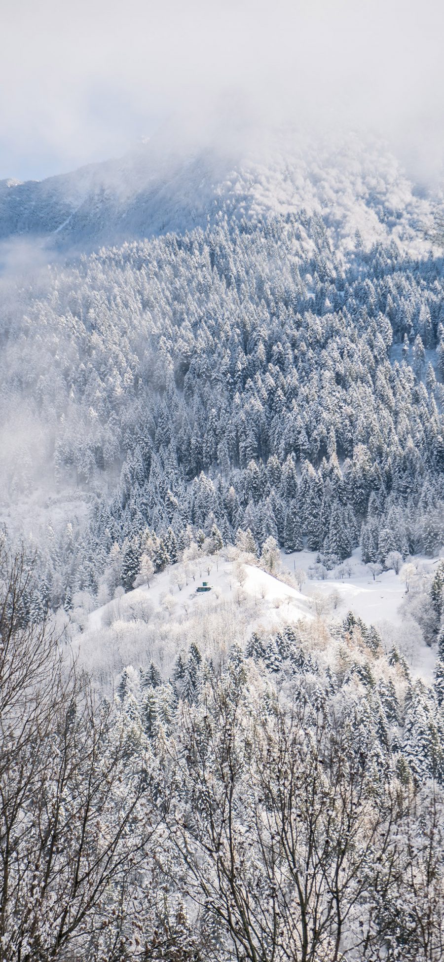 [2436×1125]自然 山峰 树木 雪景 唯美 苹果手机壁纸图片
