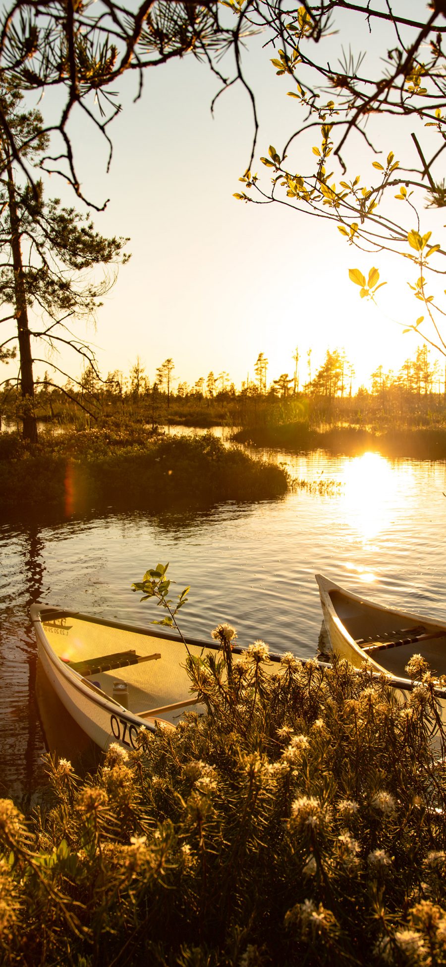 [2436×1125]自然 湖泊 船只 阳光 美景 苹果手机壁纸图片