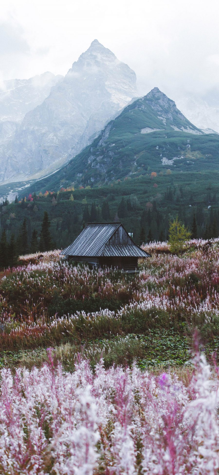 [2436×1125]自然美景 山峰 花田 木屋 苹果手机壁纸图片