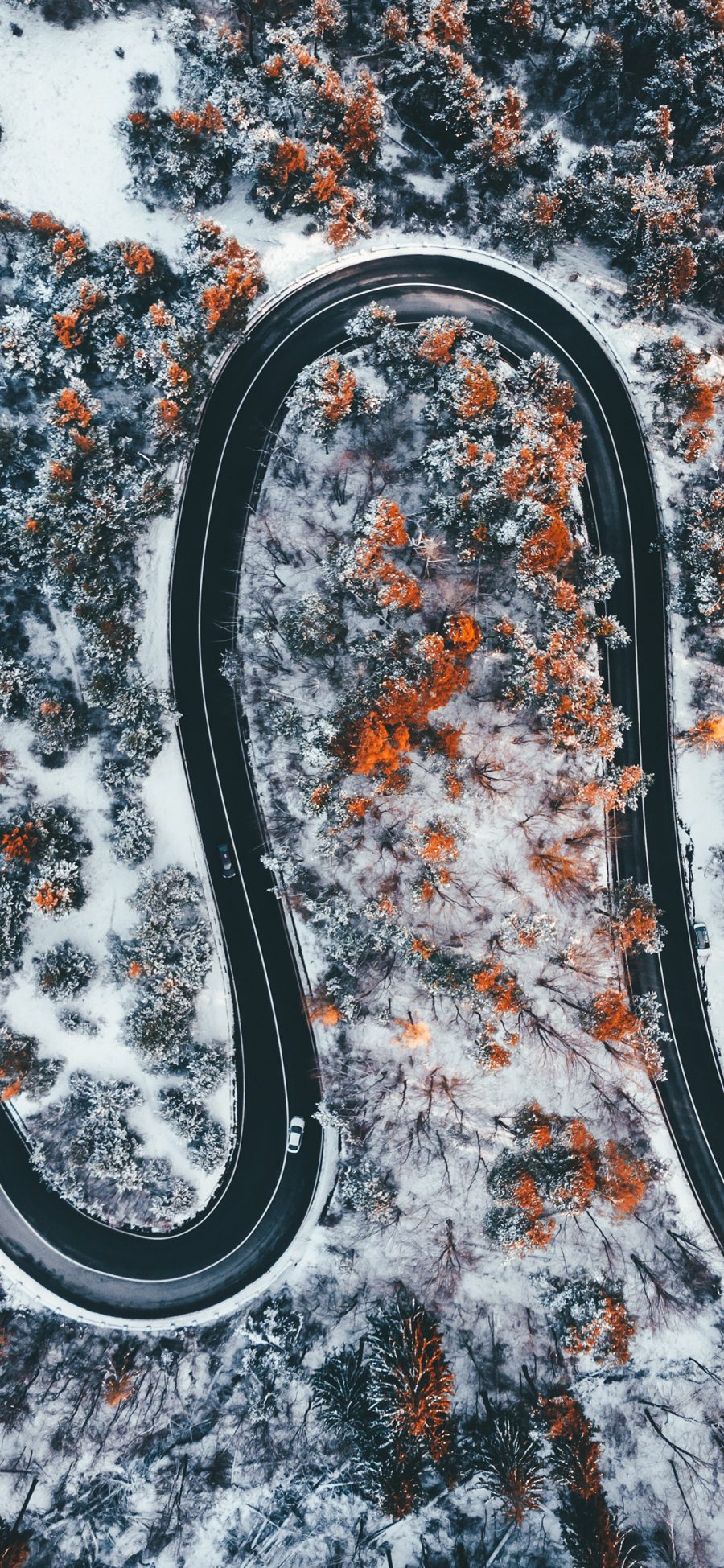 [2436×1125]航拍 车道 弯线 树木 苹果手机壁纸图片