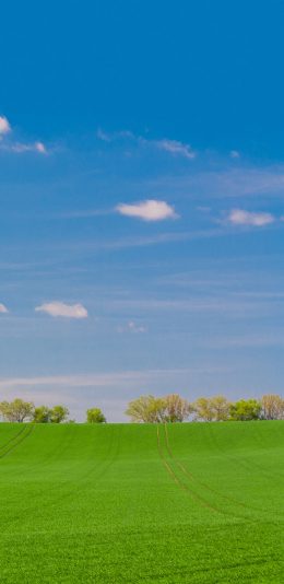 [2436x1125]草原 郊外 天空 绿色 大自然 苹果手机壁纸图片