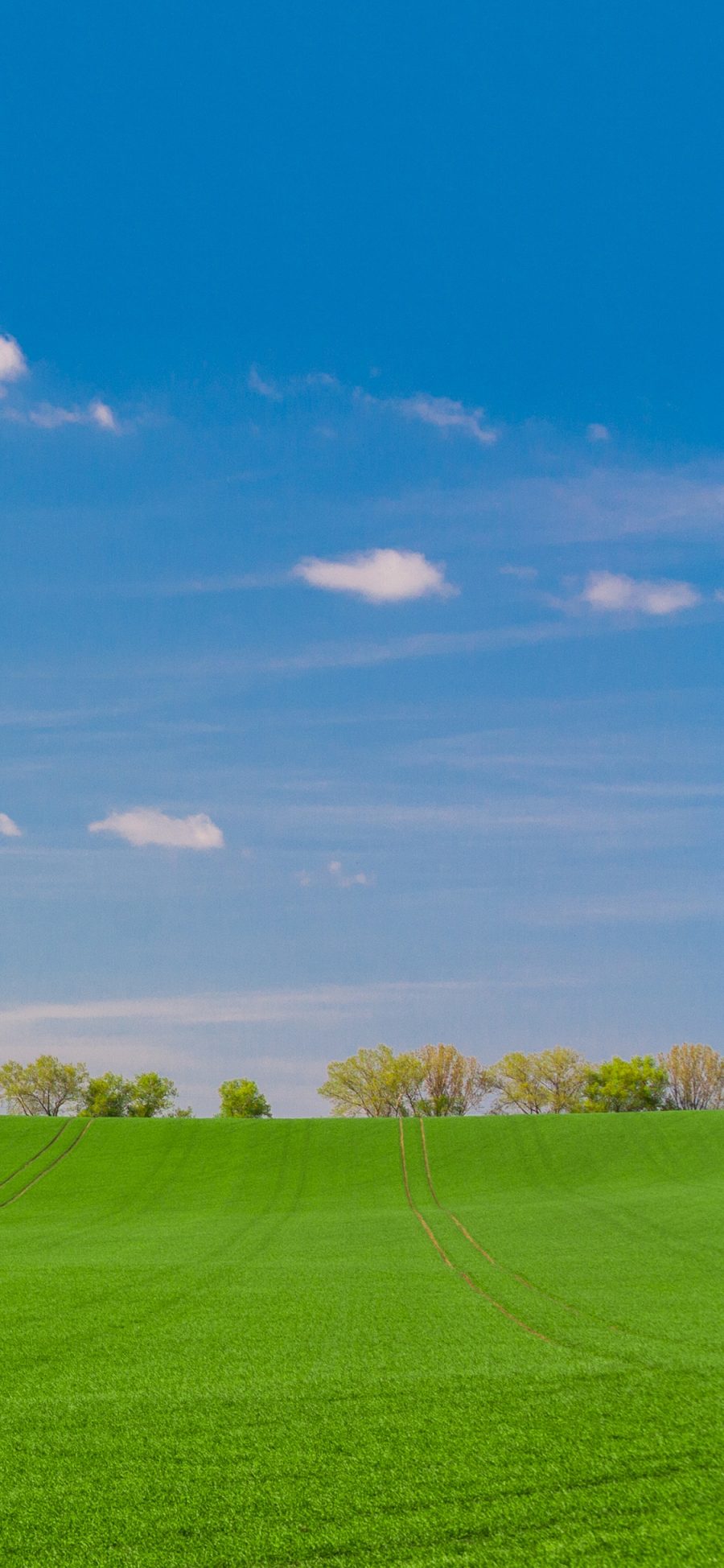 [2436×1125]草原 郊外 天空 绿色 大自然 苹果手机壁纸图片