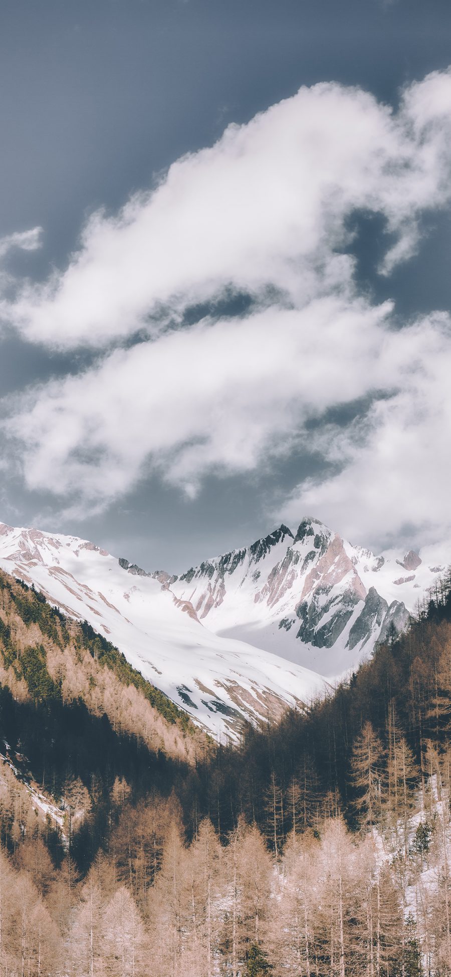 [2436×1125]蓝天 山峰 雪山 白雪覆盖 树木 苹果手机壁纸图片