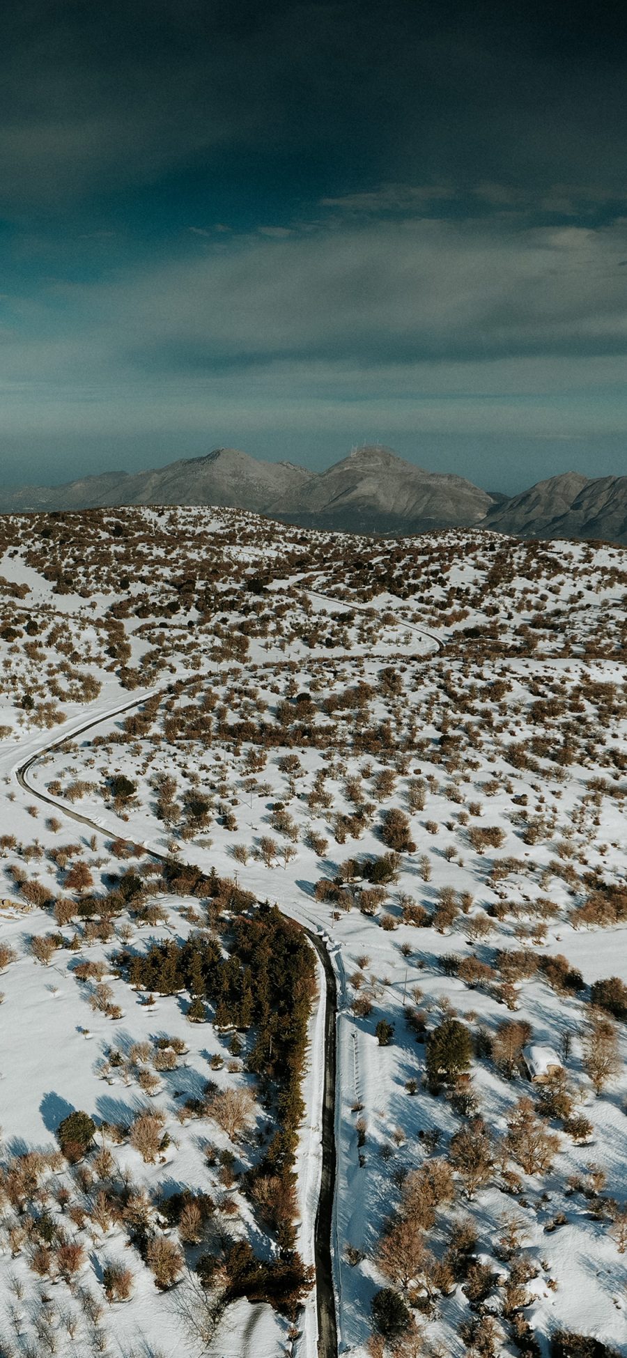 [2436×1125]蓝天 自然 雪景 树木 苹果手机壁纸图片