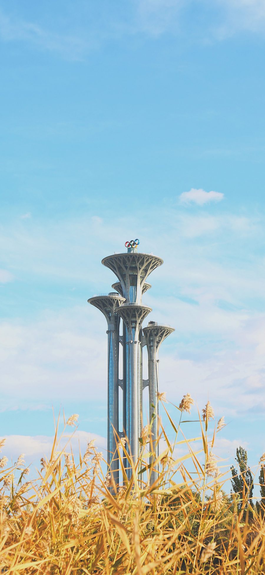 [2436×1125]蓝天白云 建筑 背景 奥森公园 奥运五环 苹果手机壁纸图片