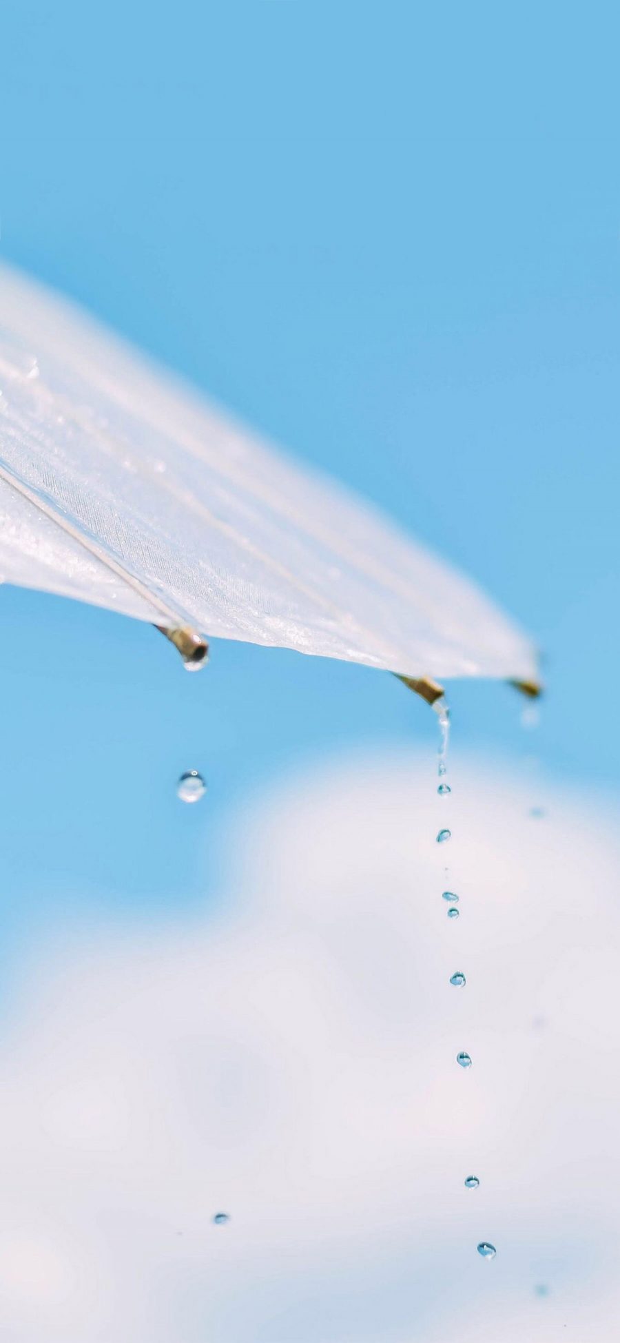 [2436×1125]蓝天白云 雨伞 水滴 苹果手机壁纸图片
