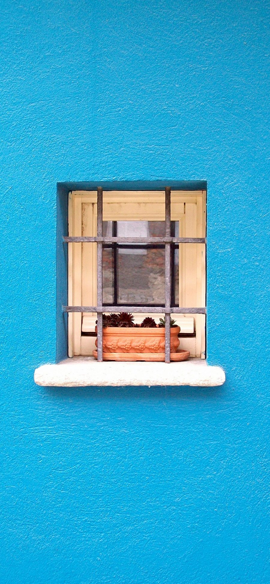 [2436×1125]蓝色墙壁 窗户 盆栽 多肉 苹果手机壁纸图片