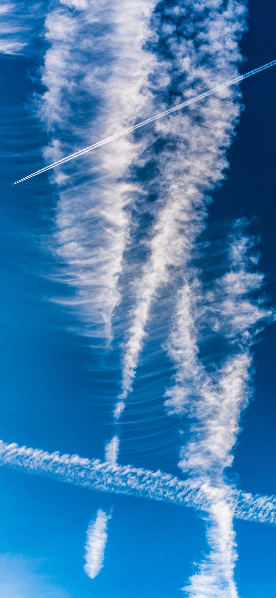 [2436×1125]蔚蓝 天空 蓝天白云 飞机 苹果手机壁纸图片