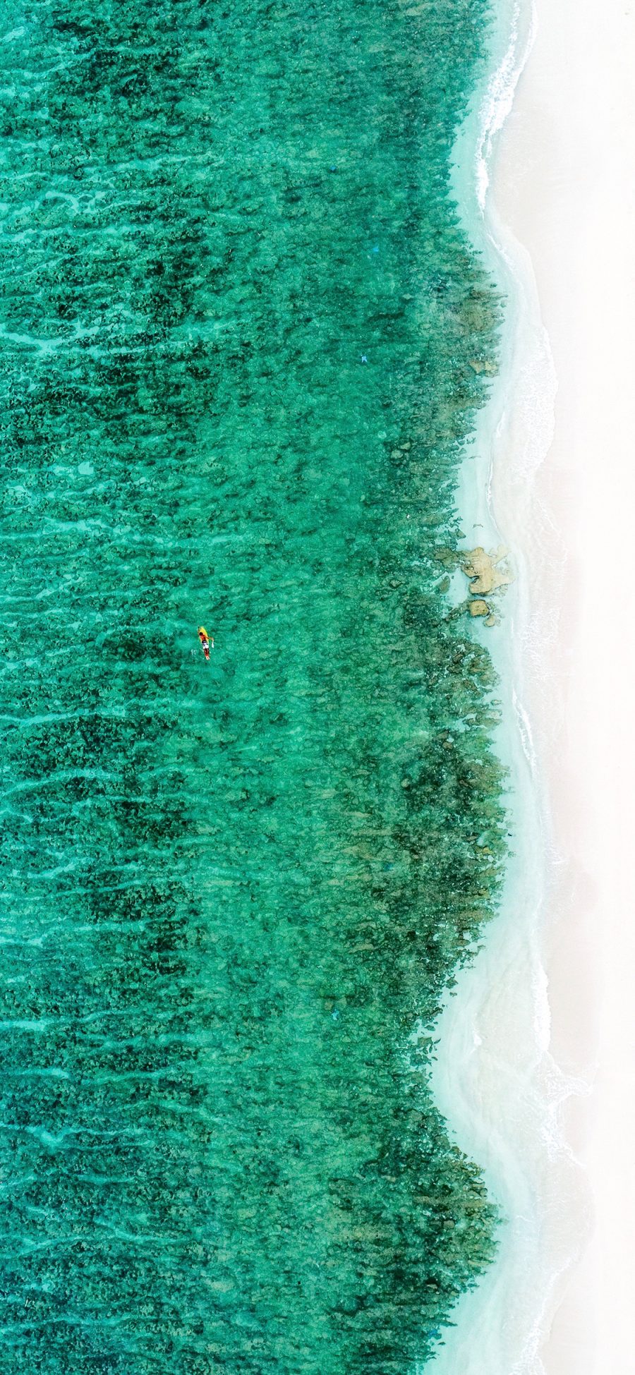 [2436×1125]蜿蜒 海岸线 海边 沙滩 苹果手机壁纸图片