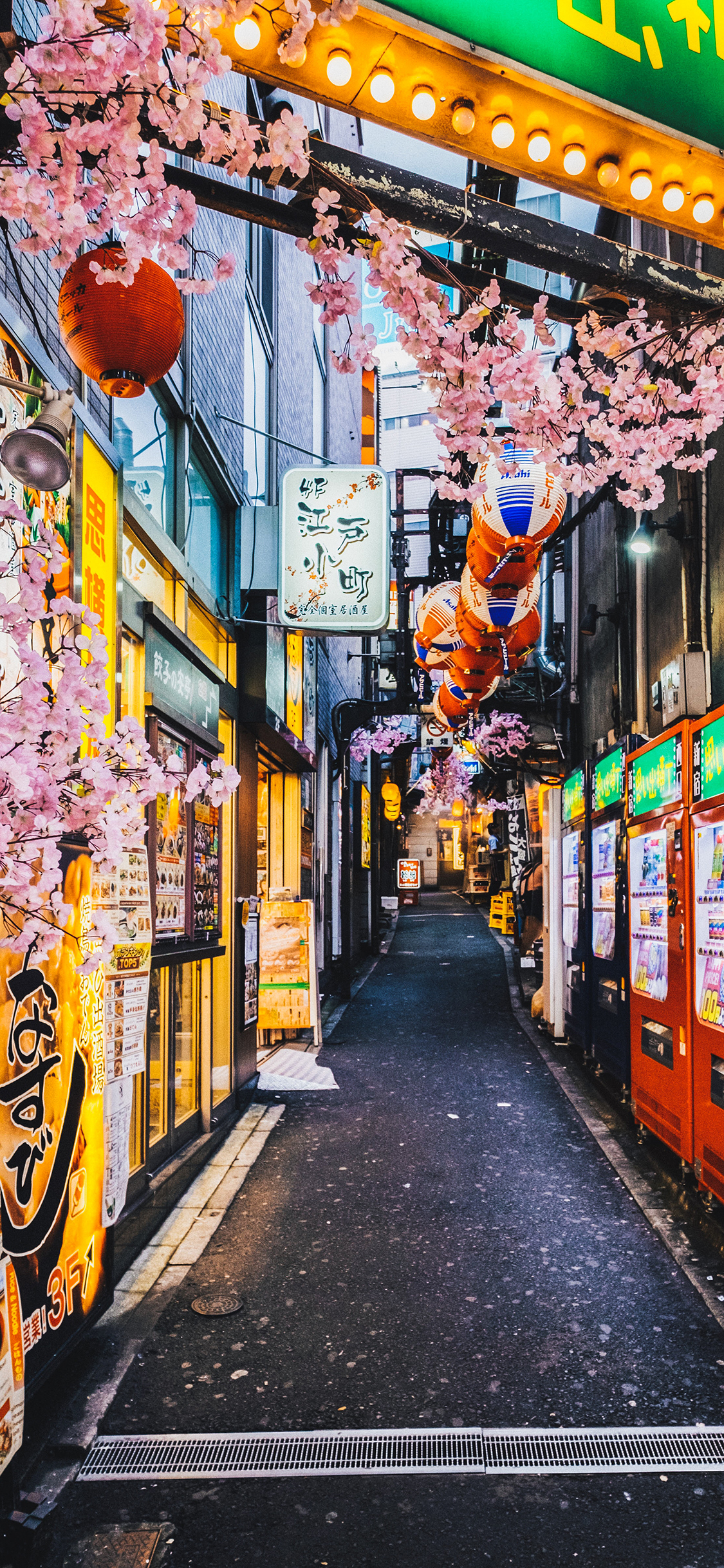 [2436×1125]街道 樱花 日系 招牌 苹果手机壁纸图片