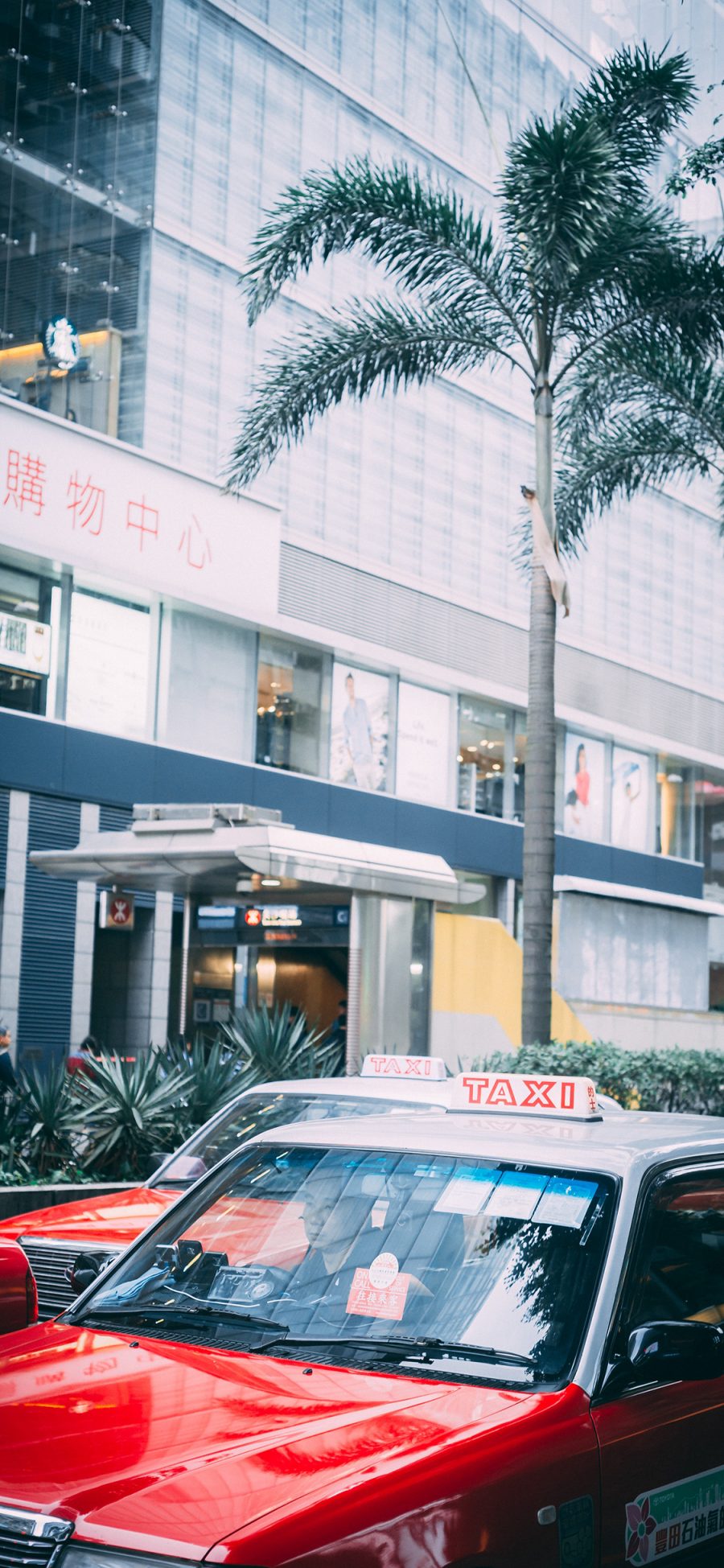[2436×1125]街道 的士 香港 出租车 绿植 苹果手机壁纸图片