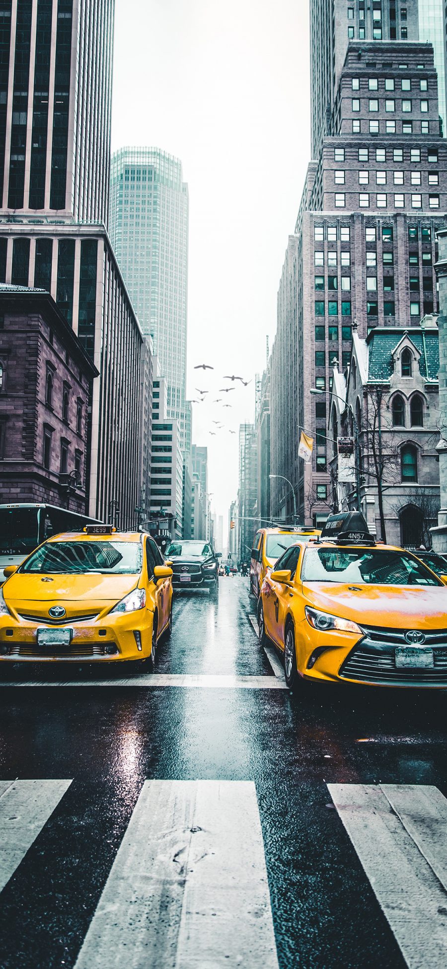 [2436×1125]街道 道路 马路 的士 出租车 车辆 城市 建筑 苹果手机壁纸图片