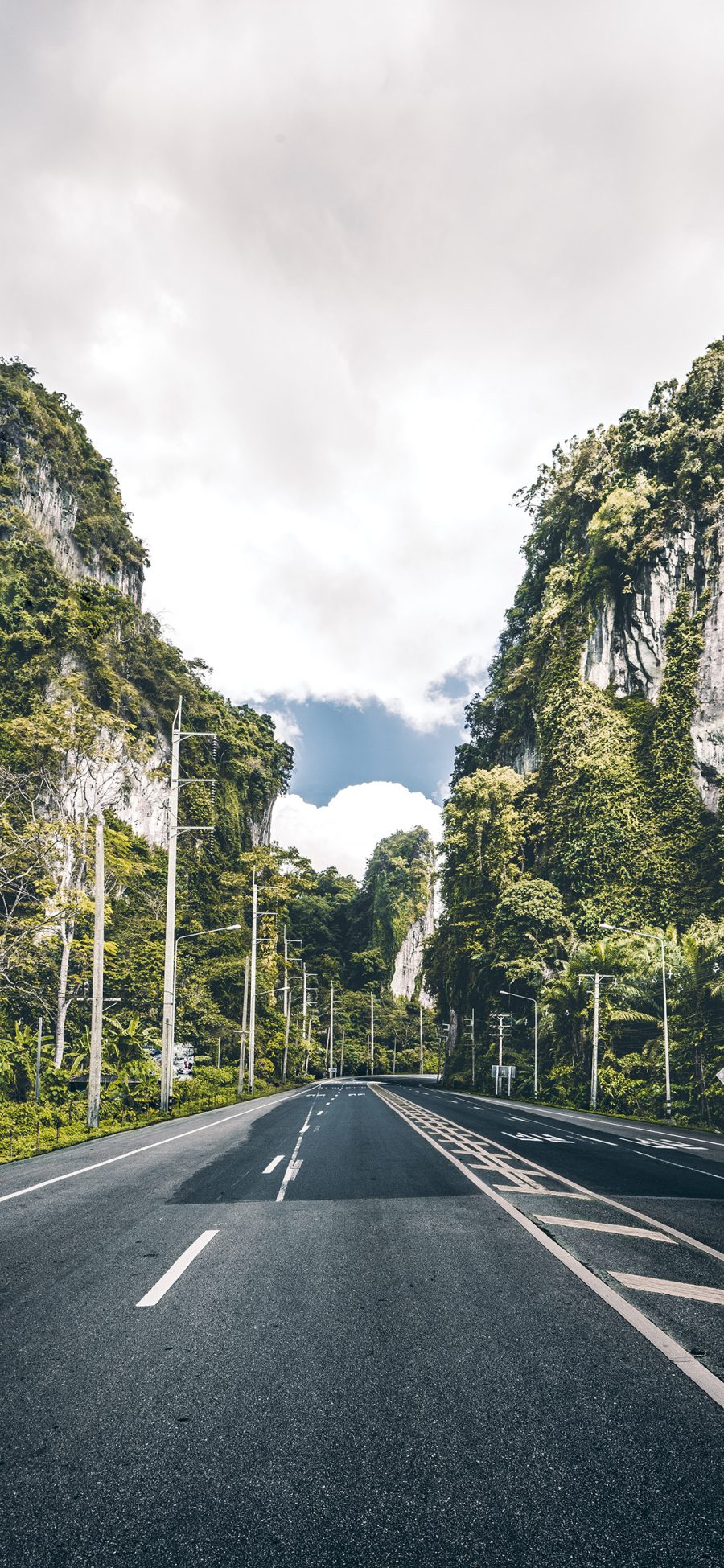 [2436×1125]道路 树木 空间感 风景 苹果手机壁纸图片